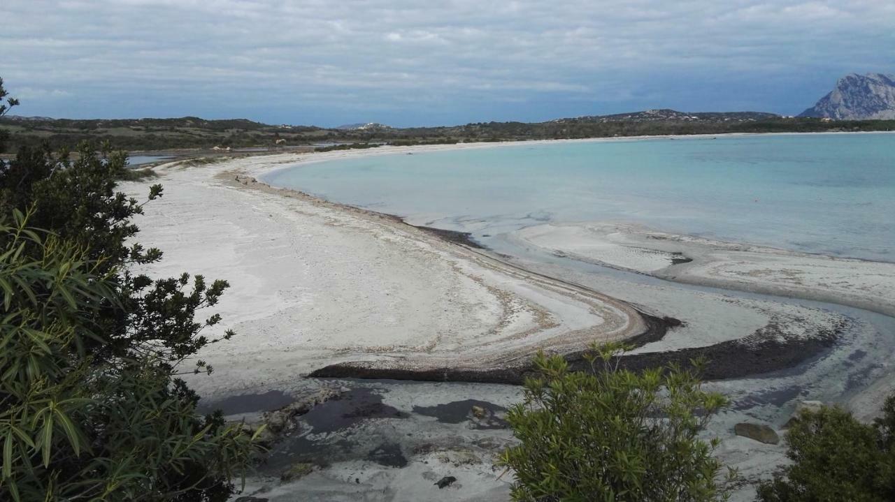 Appartamenti Sardegna 포르토산파울로 외부 사진