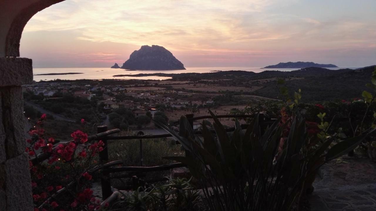 Appartamenti Sardegna 포르토산파울로 외부 사진